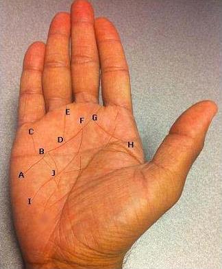 astropalmistry palm picture