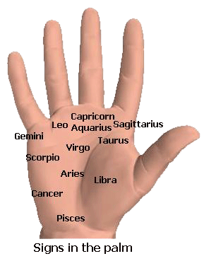 signs in palm