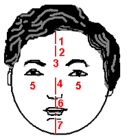 Regions in the face