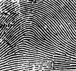Arch ridge pattern
