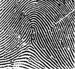 Tented Arch ridge pattern