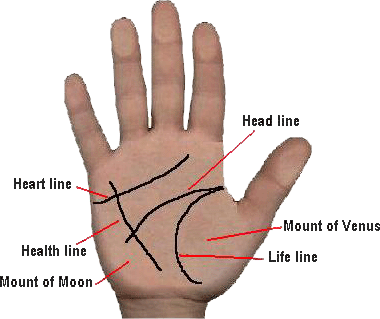 Lines in a hand