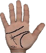 venereal diseases in palms