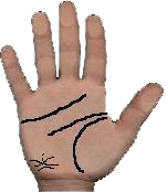 uterus problems in palmistry