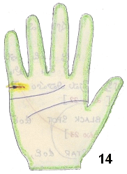 dot on marriage line