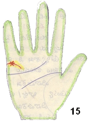 star on marriage line