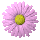 Flower icon