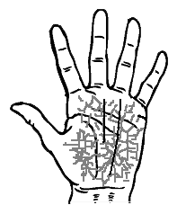 palms representing past karma