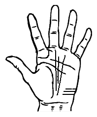 vedic palmistry case of ring of solomon