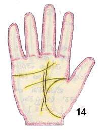 palmistry for two sources of income