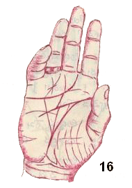 megastar Chiranjeevi palm