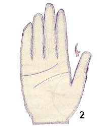 miser lines in palm