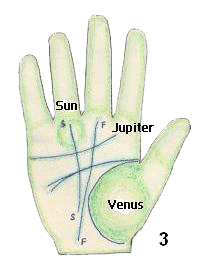 fate and sun lines in palm