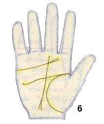 wealth lines in palm