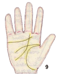 palm lines indicating wealth from ladies