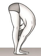 Paadahastaasanam posture