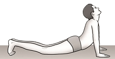 Bhujangaasanam posture