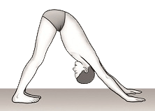 Parvathaasanam posture